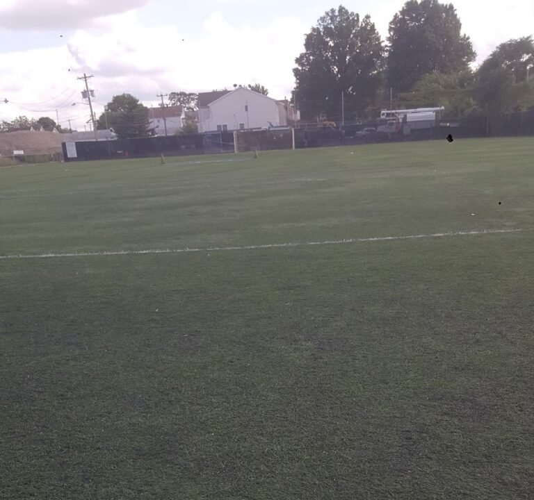 Soccer Field image 3