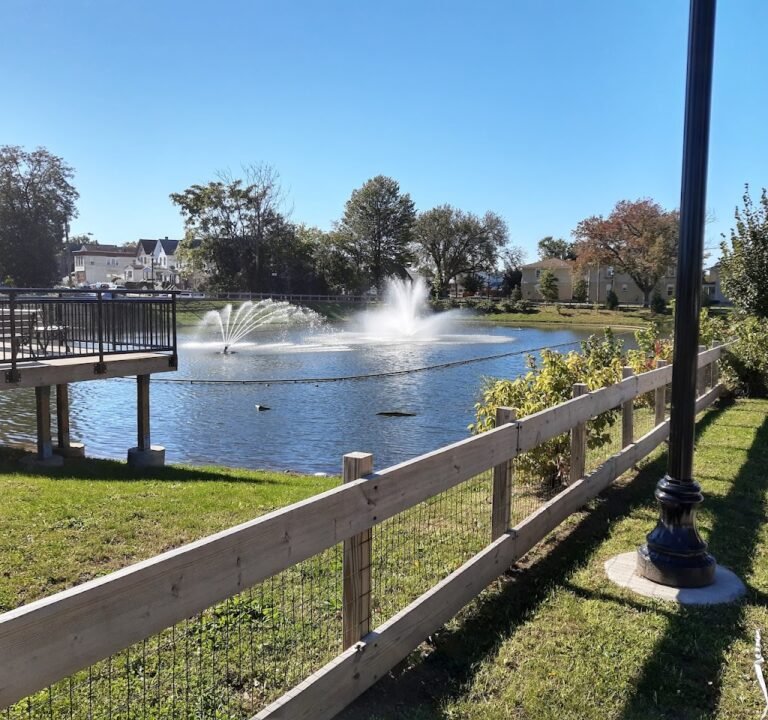 Soccer Field image 2