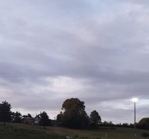 Soccer Field image 2