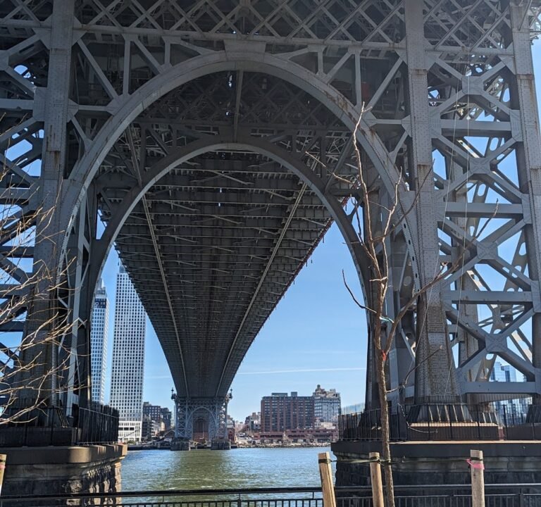 Soccer Field image 3