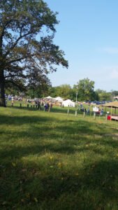 Soccer Field image 1