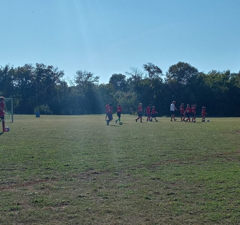 Soccer Field image 2