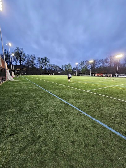 Soccer Field image 1
