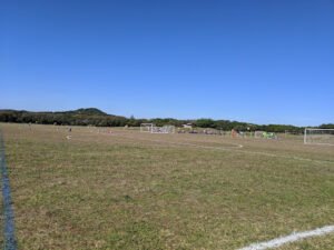 Soccer Field image 1