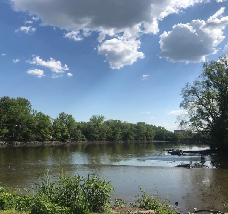 Soccer Field image 2
