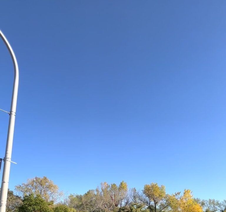 Soccer Field image 3