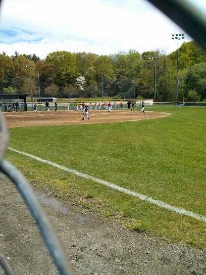 Soccer Field image 1