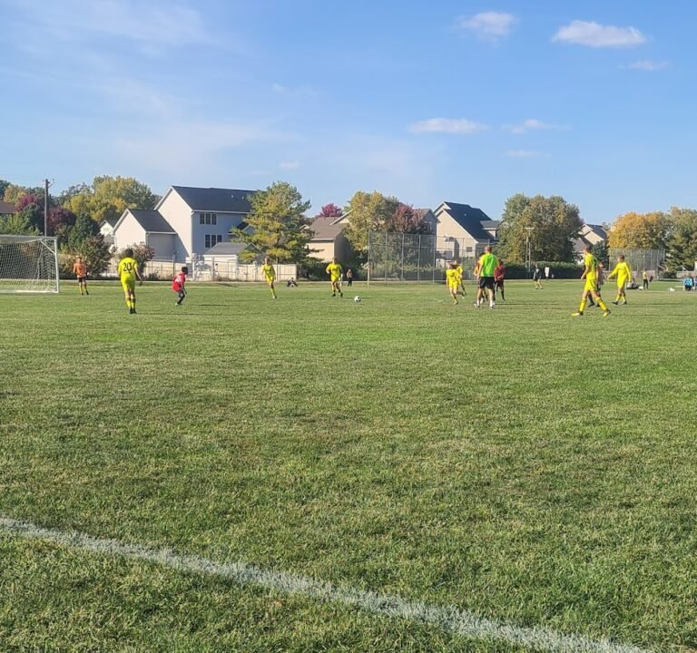 Soccer Field image 2