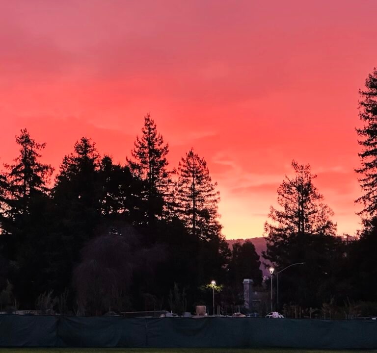 Soccer Field image 3