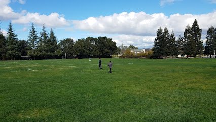 Soccer Field image 1