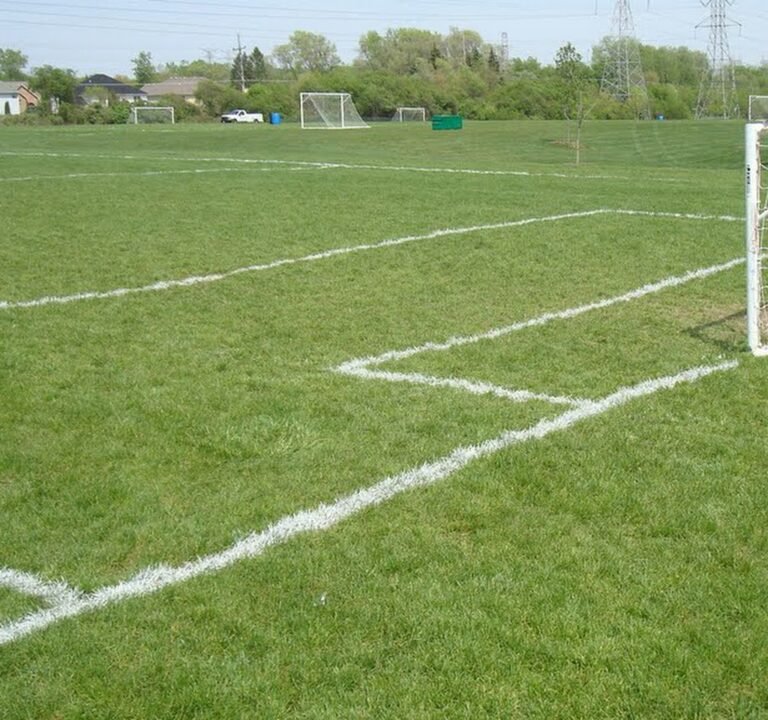 Soccer Field image 2
