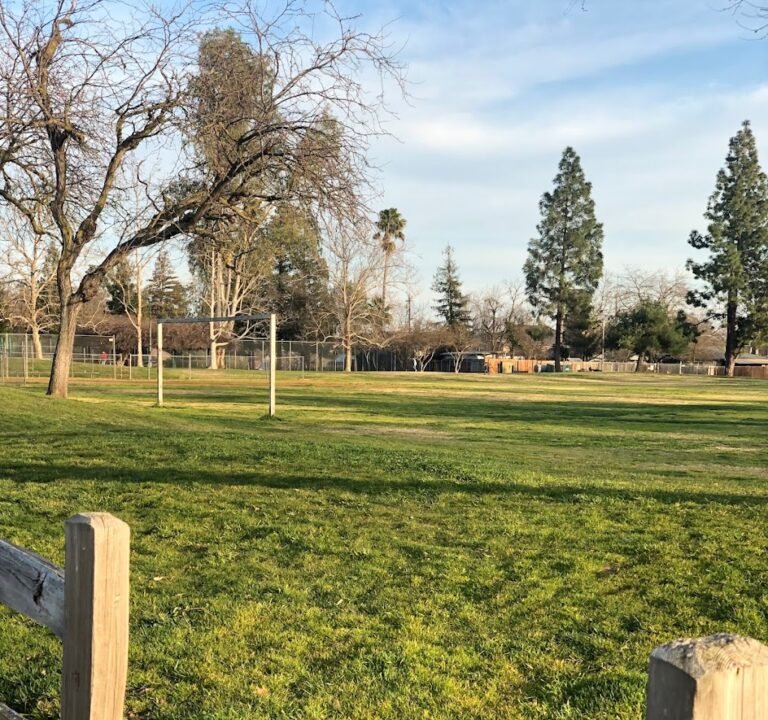 Soccer Field image 2