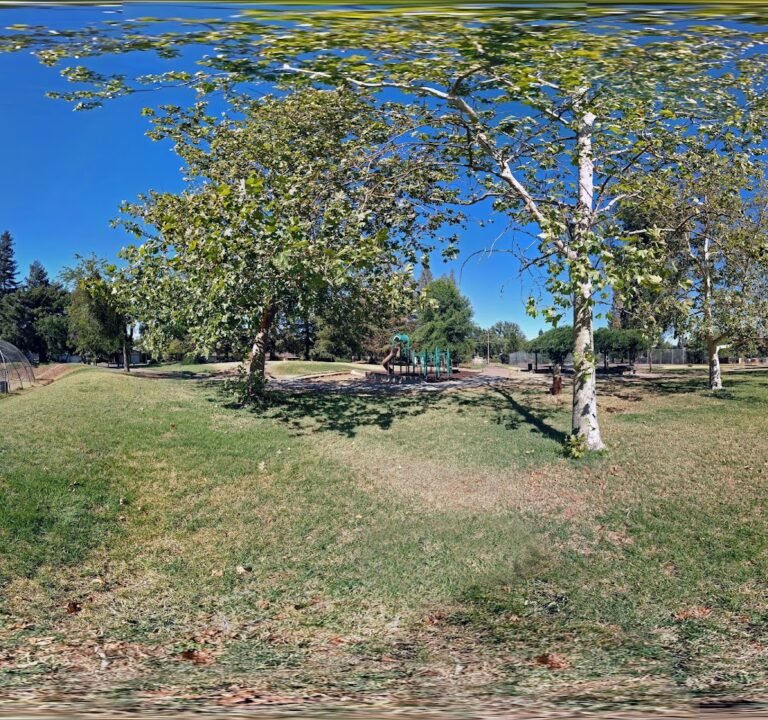 Soccer Field image 3