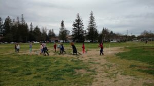 Soccer Field image 1