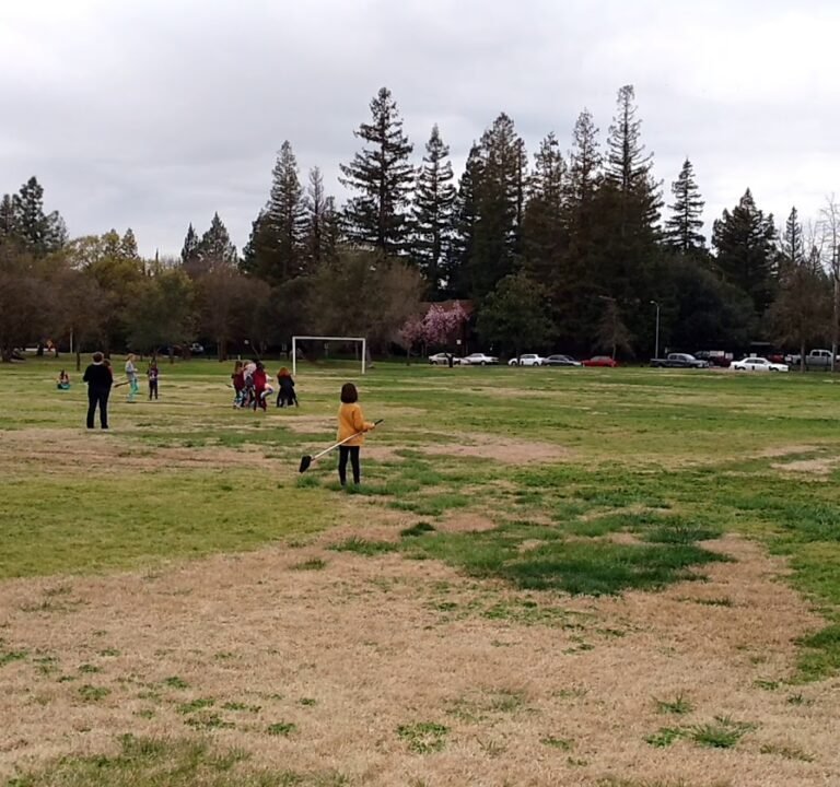 Soccer Field image 4