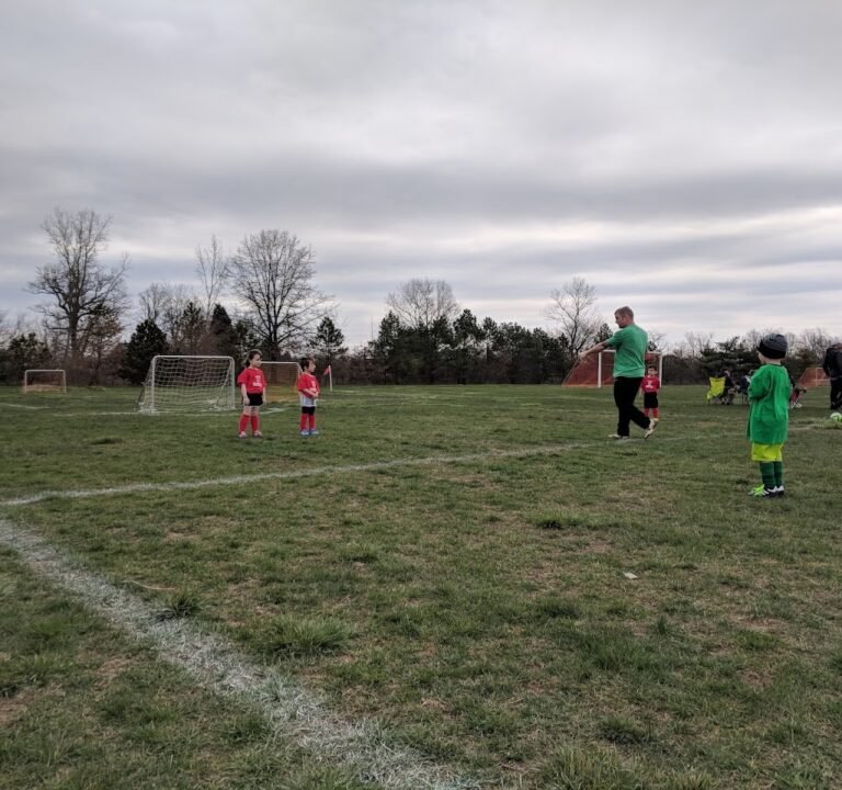 Soccer Field image 3