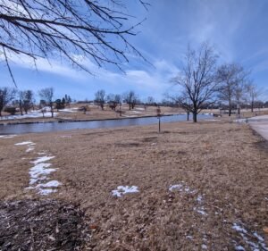 Soccer Field image 3