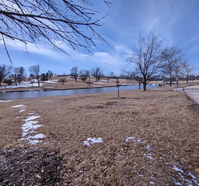 Soccer Field image 3
