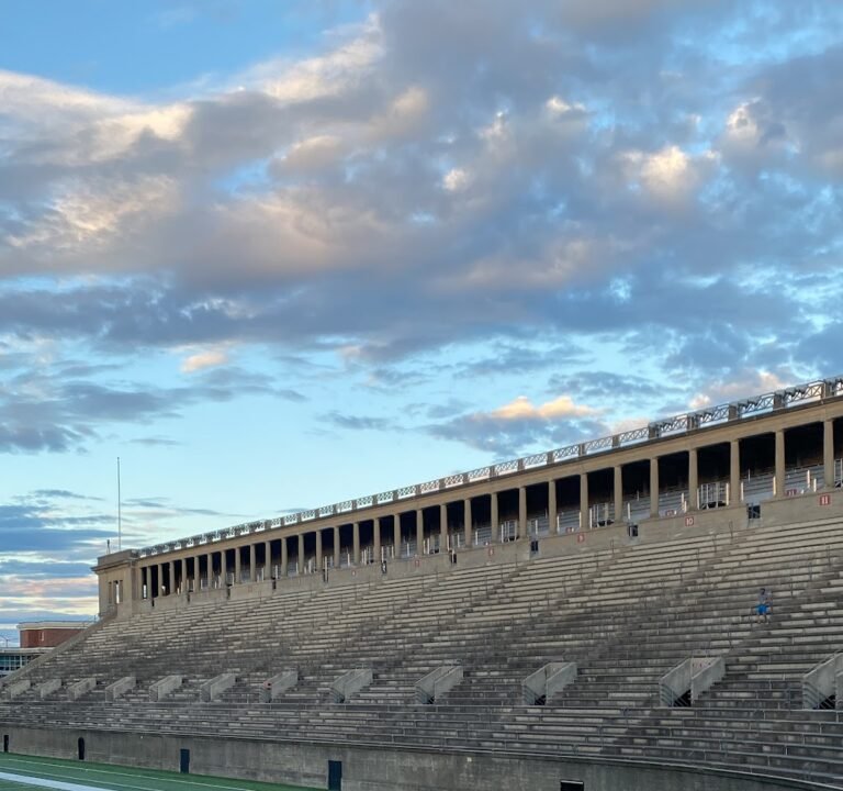 Soccer Field image 2