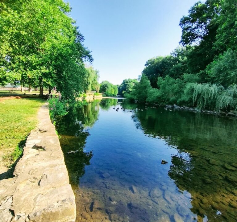 Soccer Field image 2