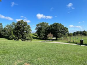 Soccer Field image 1