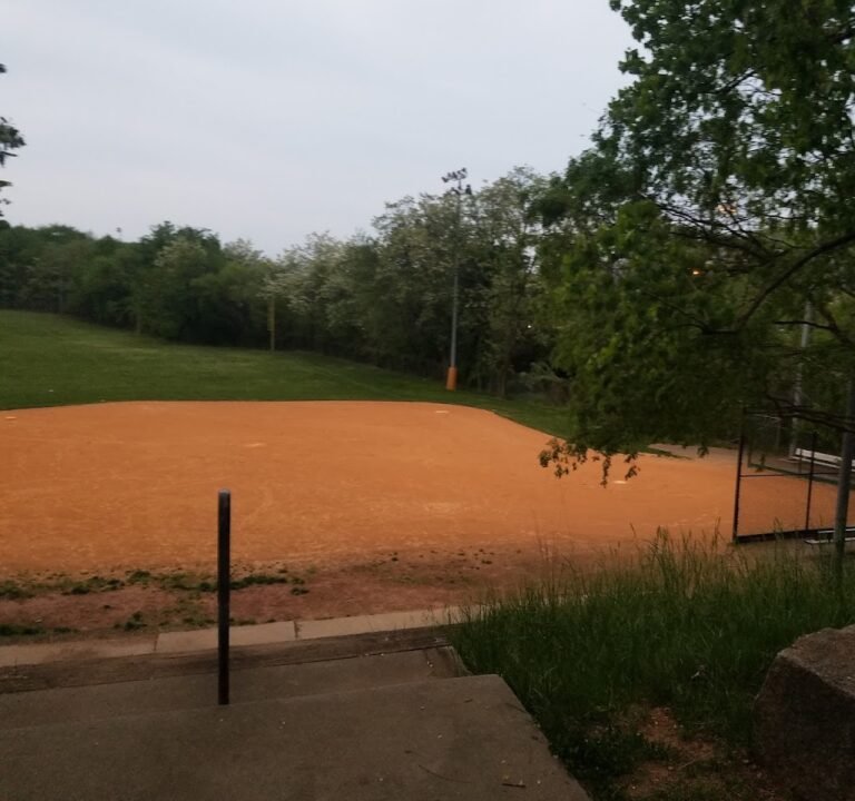 Soccer Field image 2