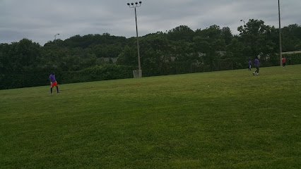 Soccer Field image 1