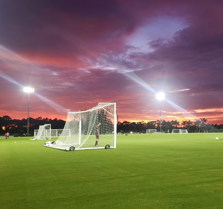 Soccer Field image 2