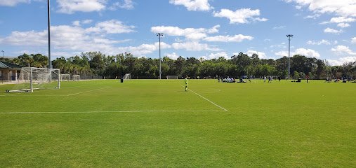 Soccer Field image 1
