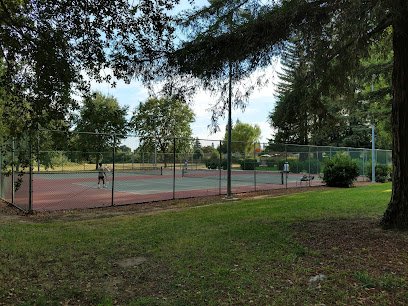 Soccer Field image 1