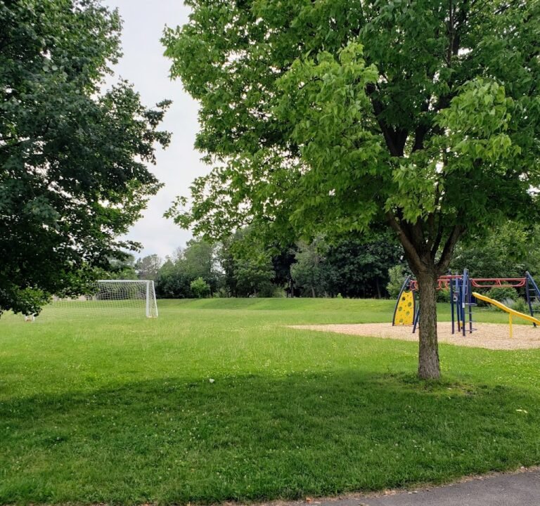 Soccer Field image 2