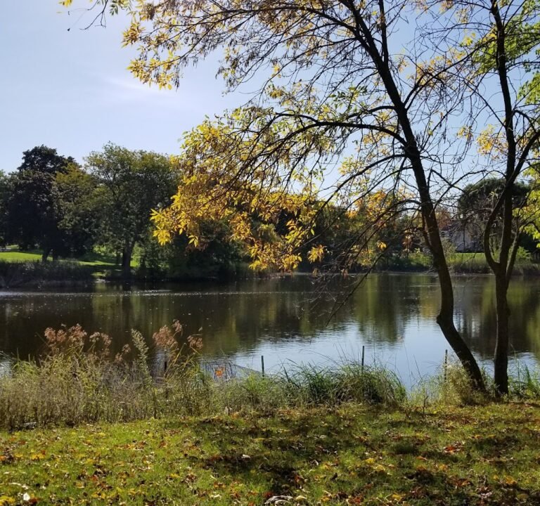 Soccer Field image 3