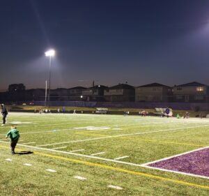 Soccer Field image 2