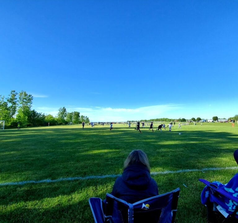 Soccer Field image 2
