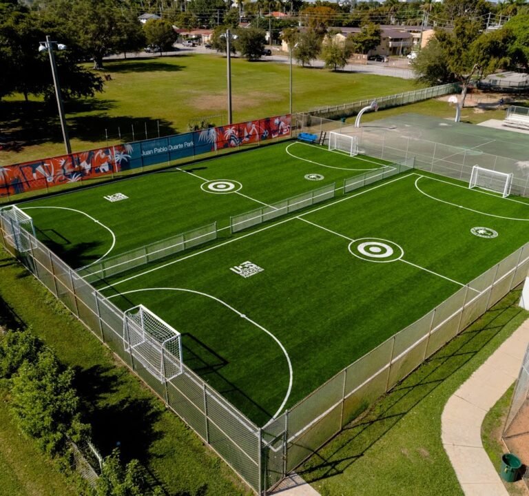 Soccer Field image 2