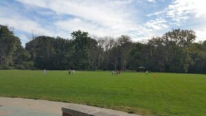 Soccer Field image 1