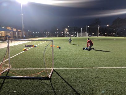 Soccer Field image 1