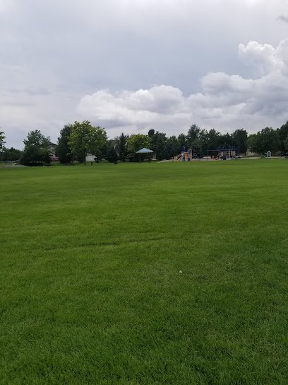 Soccer Field image 1