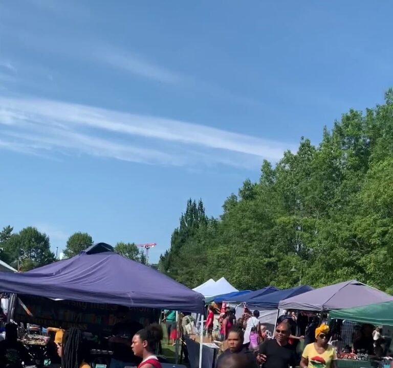 Soccer Field image 4