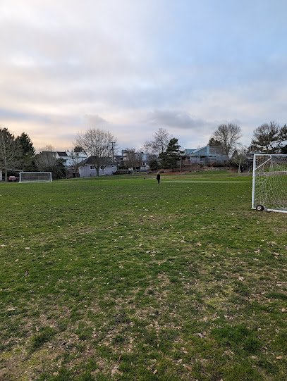 Soccer Field image 1