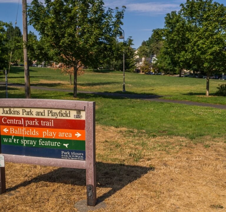 Soccer Field image 3
