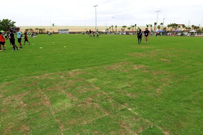 Soccer Field image 1