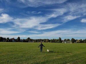 Soccer Field image 1