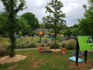 Soccer Field image 1