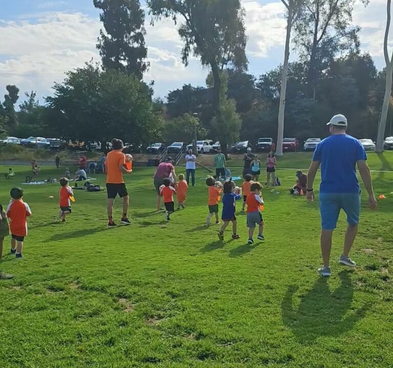 Soccer Field image 4