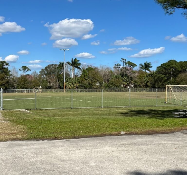 Soccer Field image 2