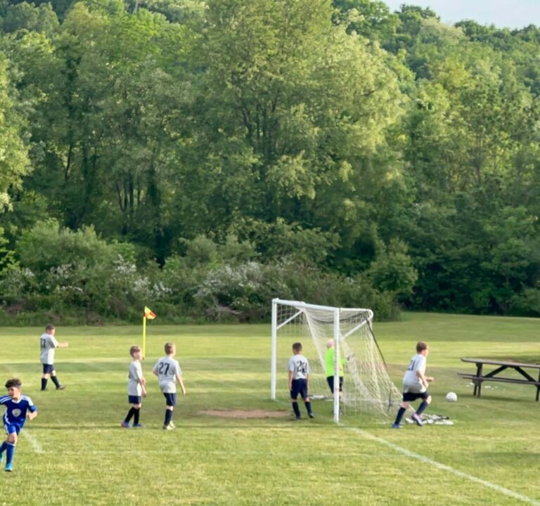 Soccer Field image 3