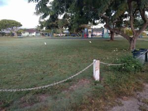 Soccer Field image 1