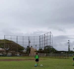 Soccer Field image 3