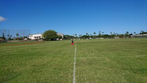 Soccer Field image 1